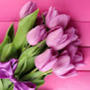 Meet your Posher, Jocelyn